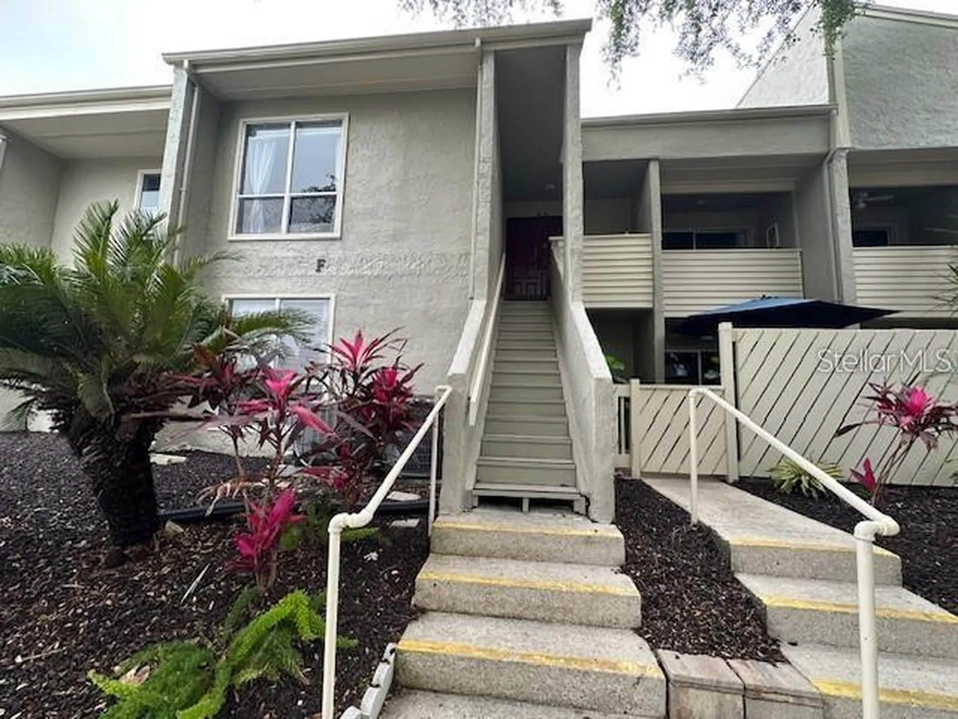 514 Windrush Bay Drive Tarpon Springs FL 34689