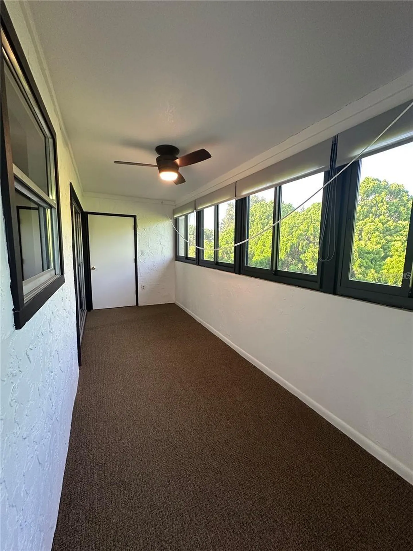 514 Windrush Bay Drive Tarpon Springs FL 34689