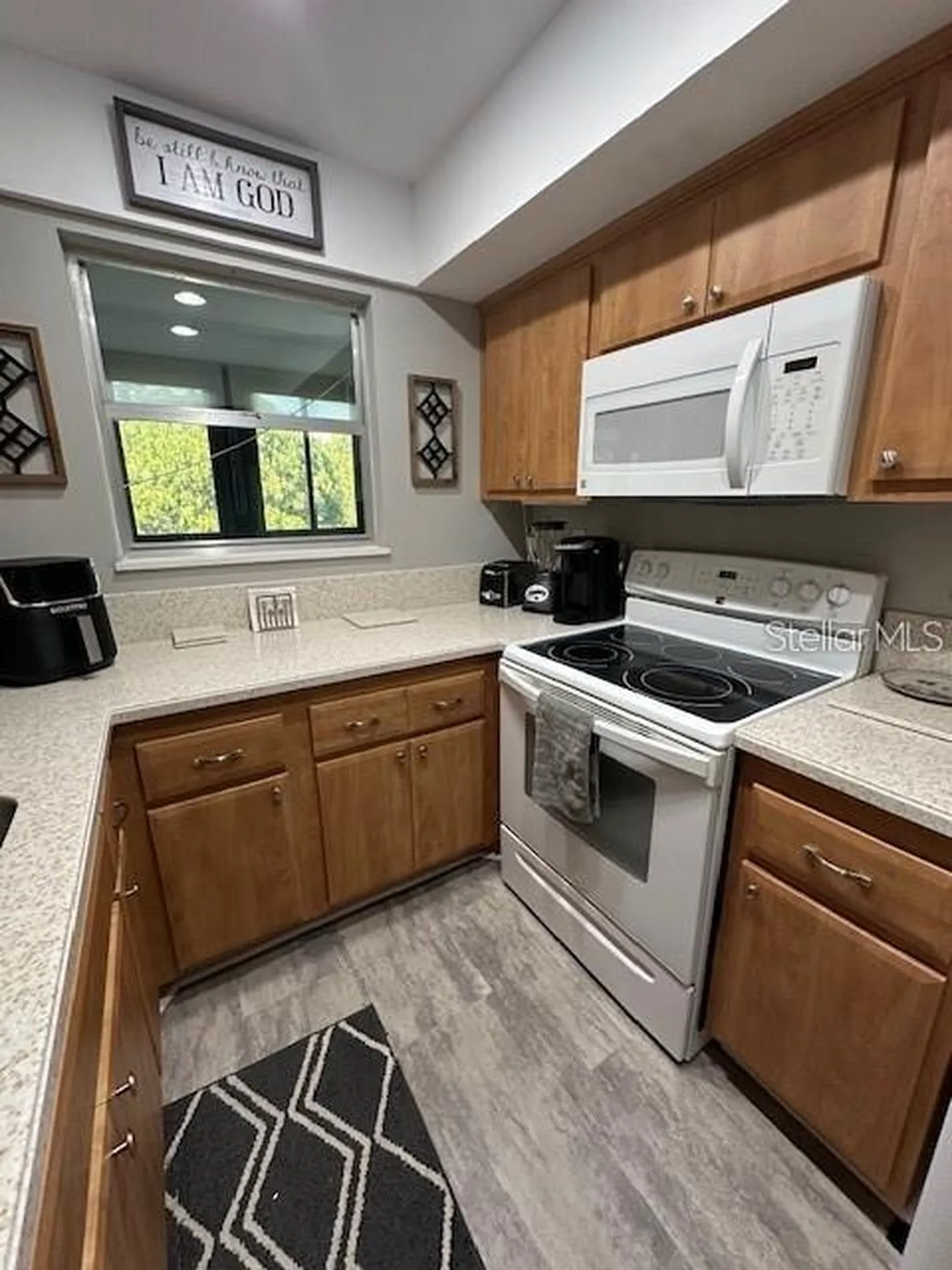 514 Windrush Bay Drive Tarpon Springs FL 34689