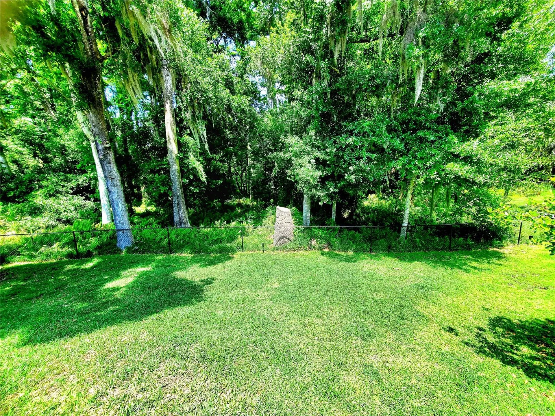 2837 Longleaf Lane Palm Harbor FL 34684