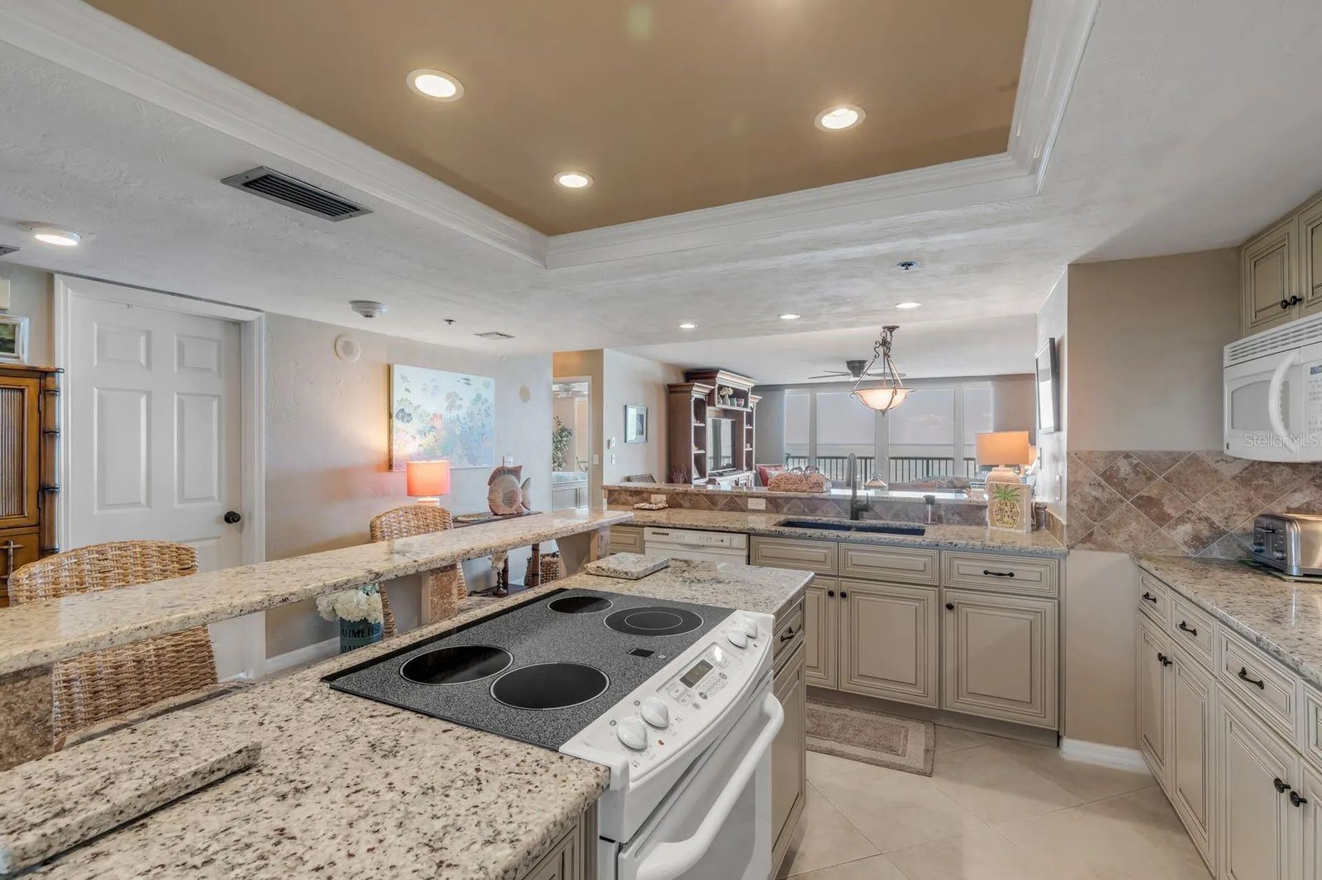257 Minorca Beach Way New Smyrna Beach FL 32169