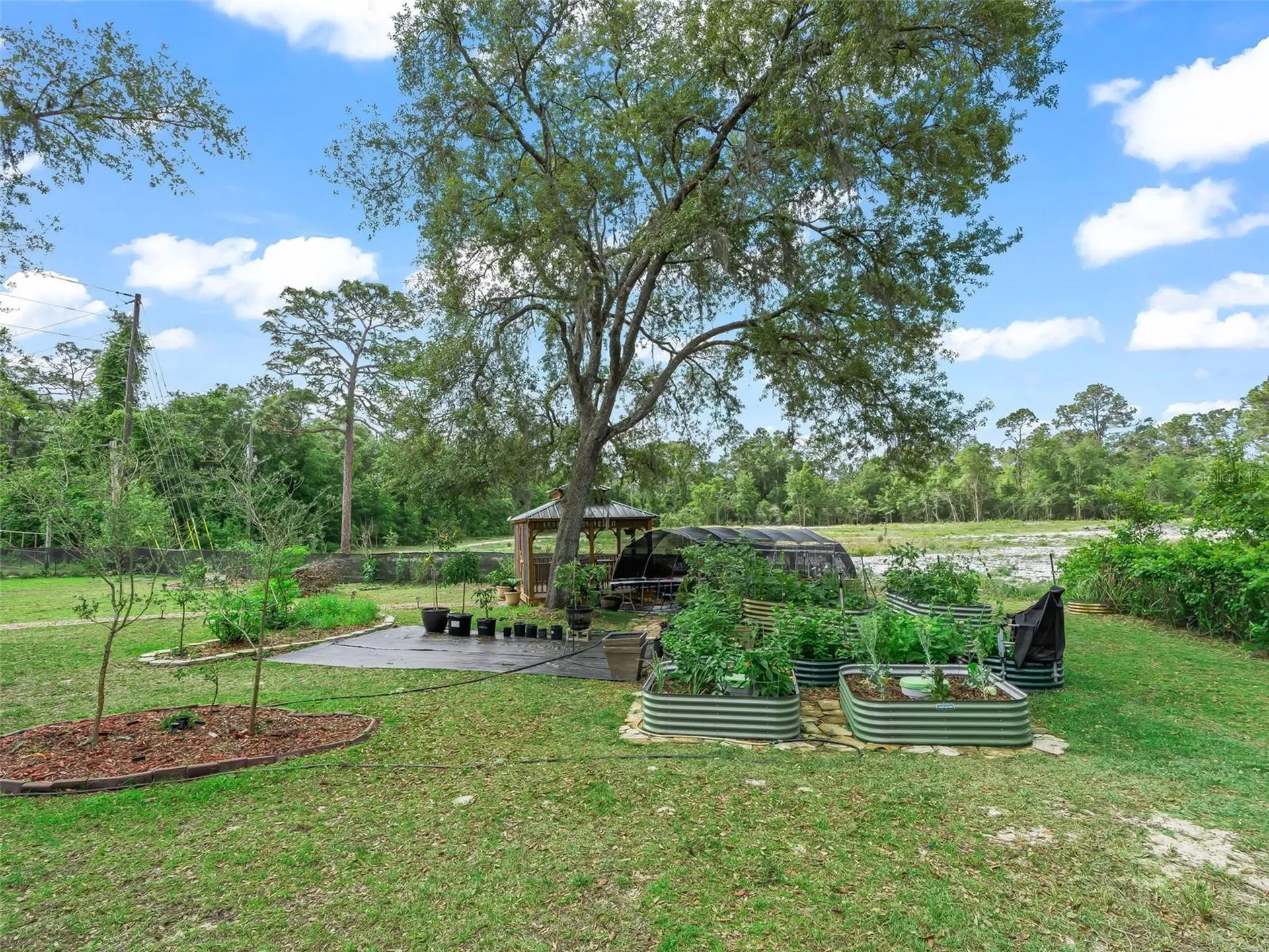 7157 Knoxville Drive Webster FL 33597