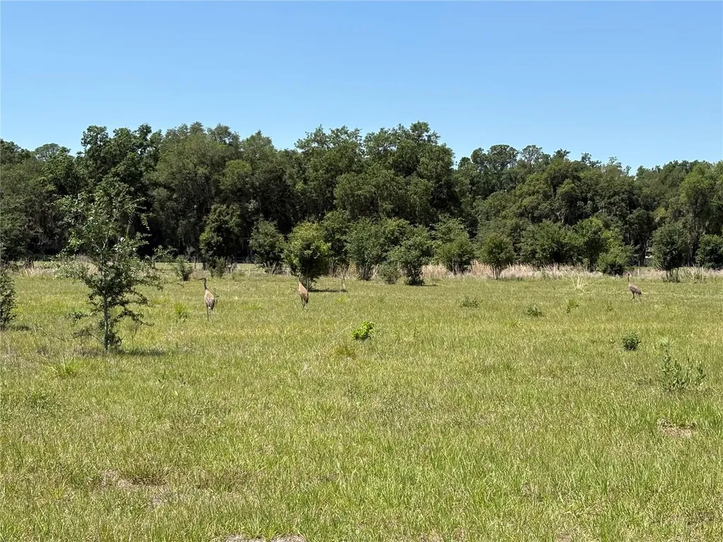 0 Greenbriar Road Lakeland FL 33810