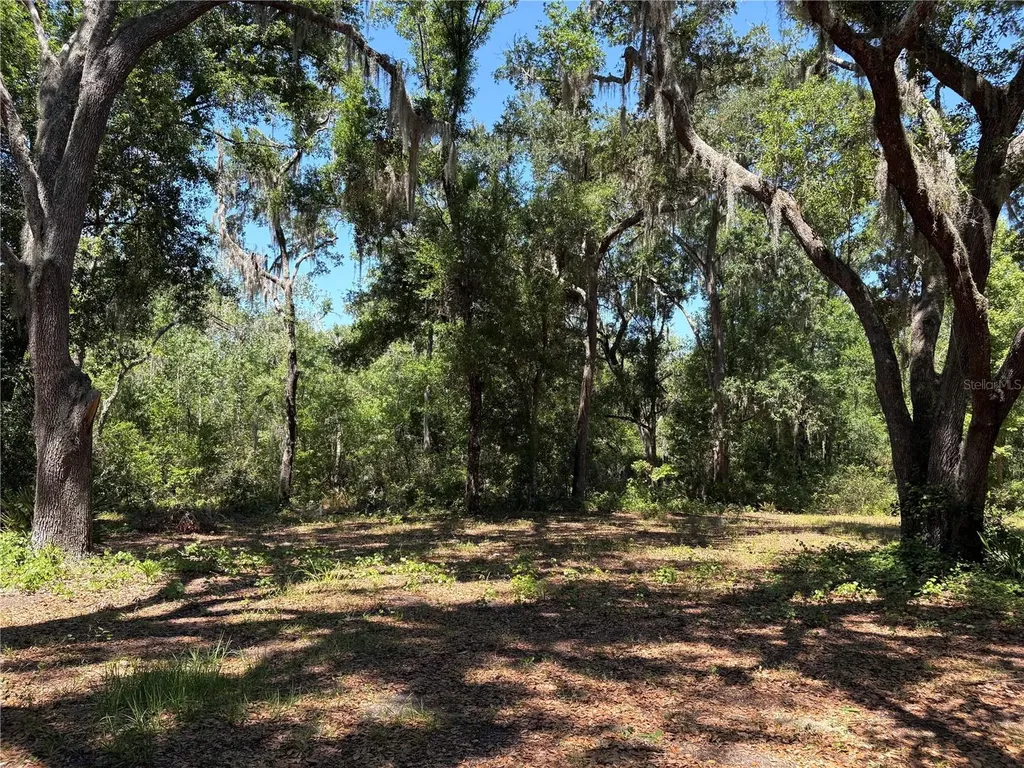 0 Greenbriar Road Lakeland FL 33810