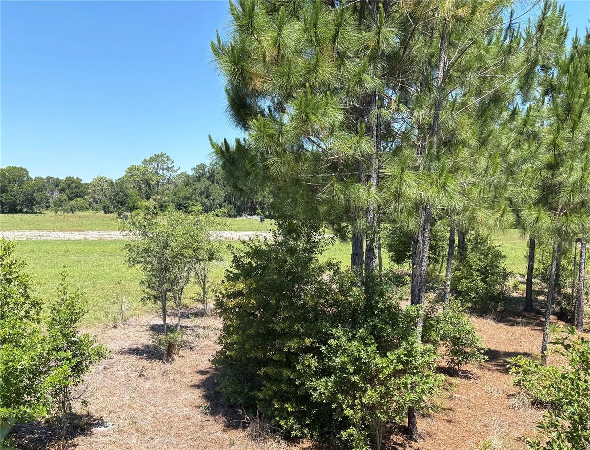 0 Greenbriar Road Lakeland FL 33810