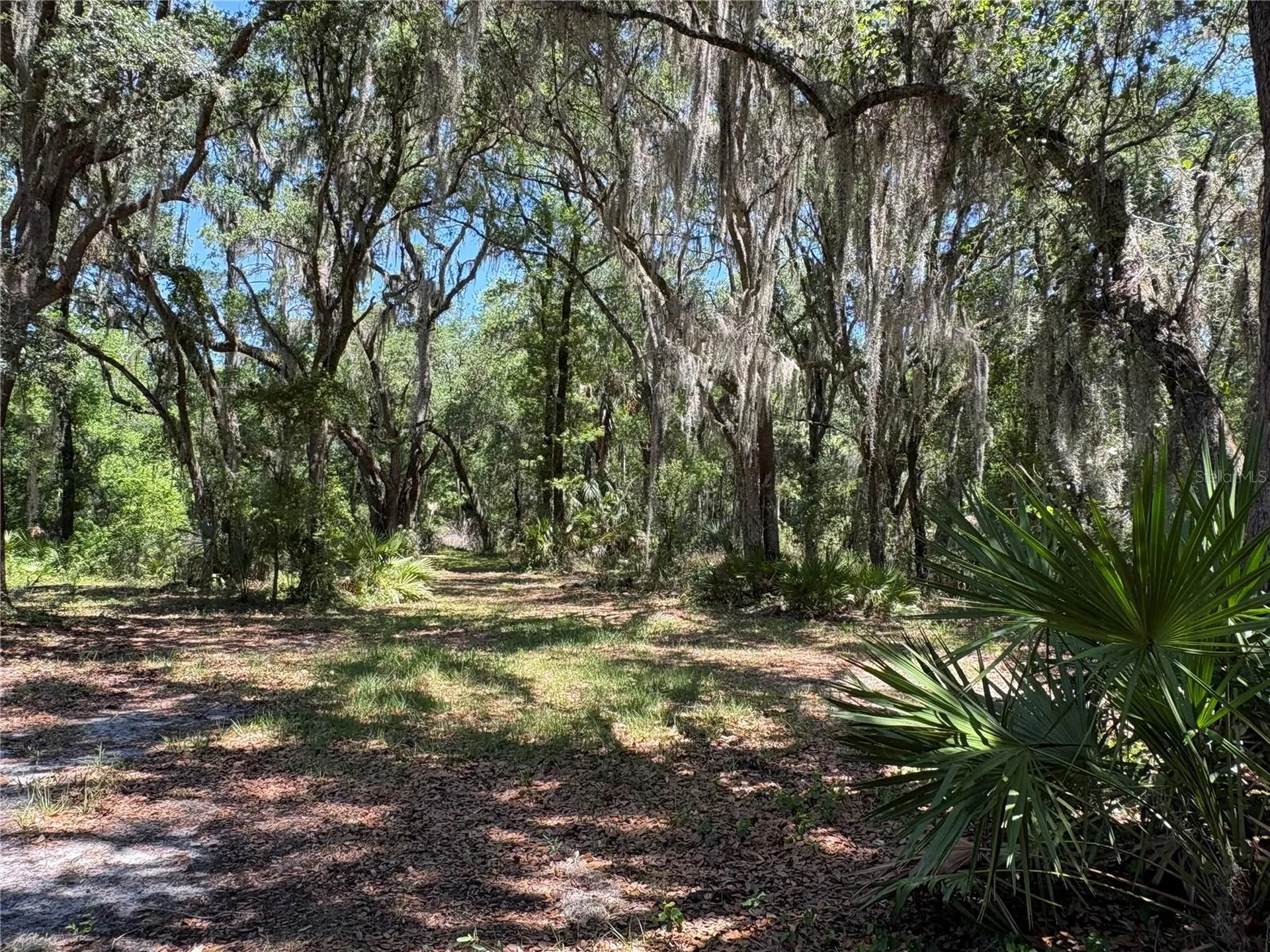 0 Greenbriar Road Lakeland FL 33810