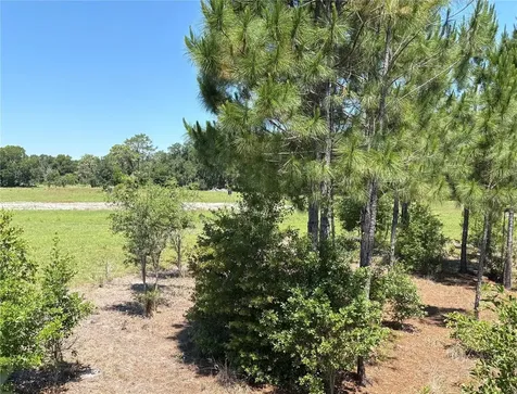 0 Greenbriar Road Lakeland FL 33810