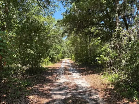 0 Greenbriar Road Lakeland FL 33810