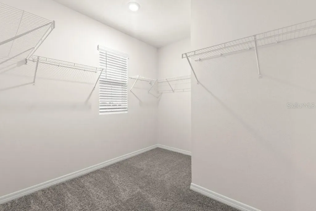 31470 Penny Surf Loop Wesley Chapel FL 33545