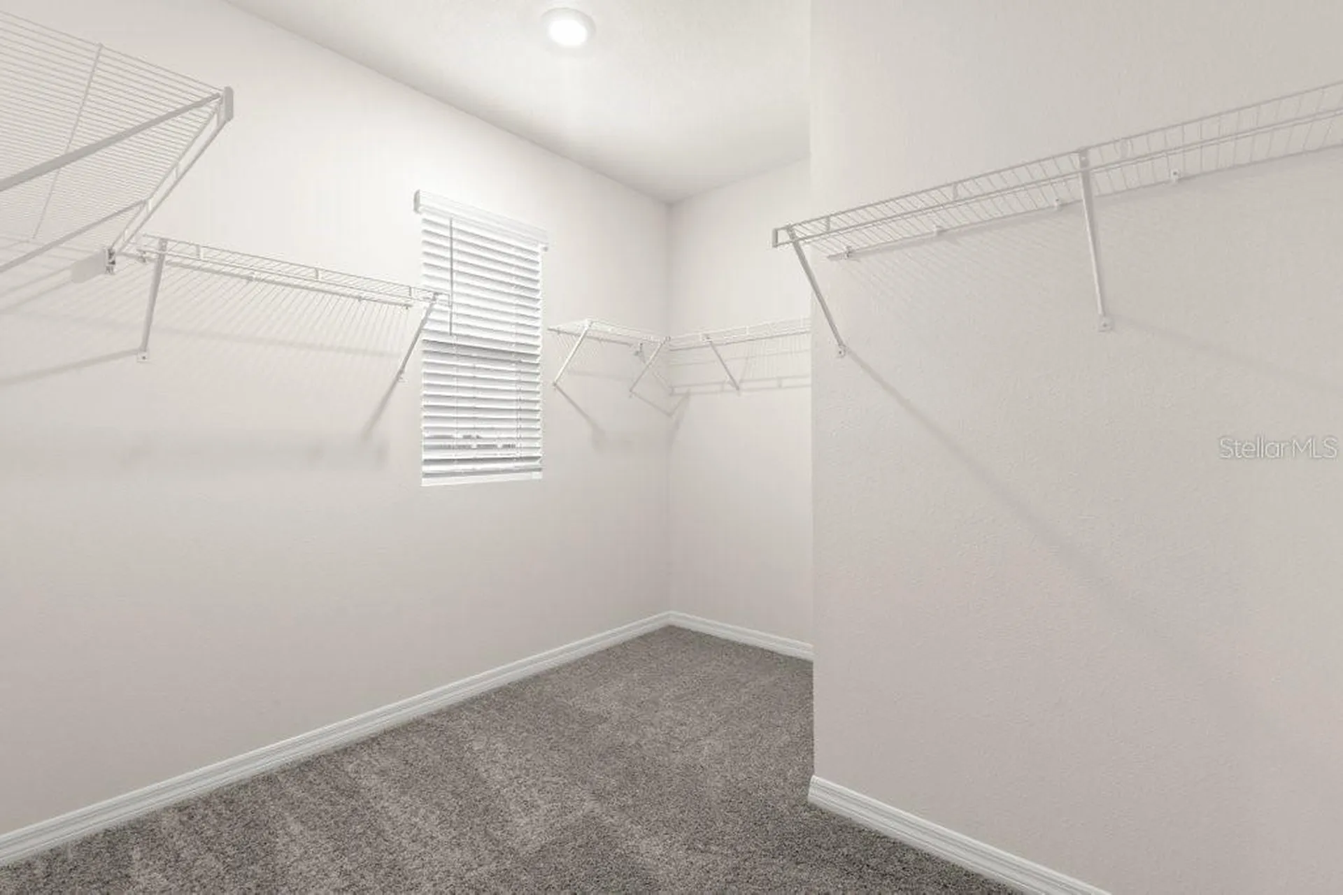 31470 Penny Surf Loop Wesley Chapel FL 33545
