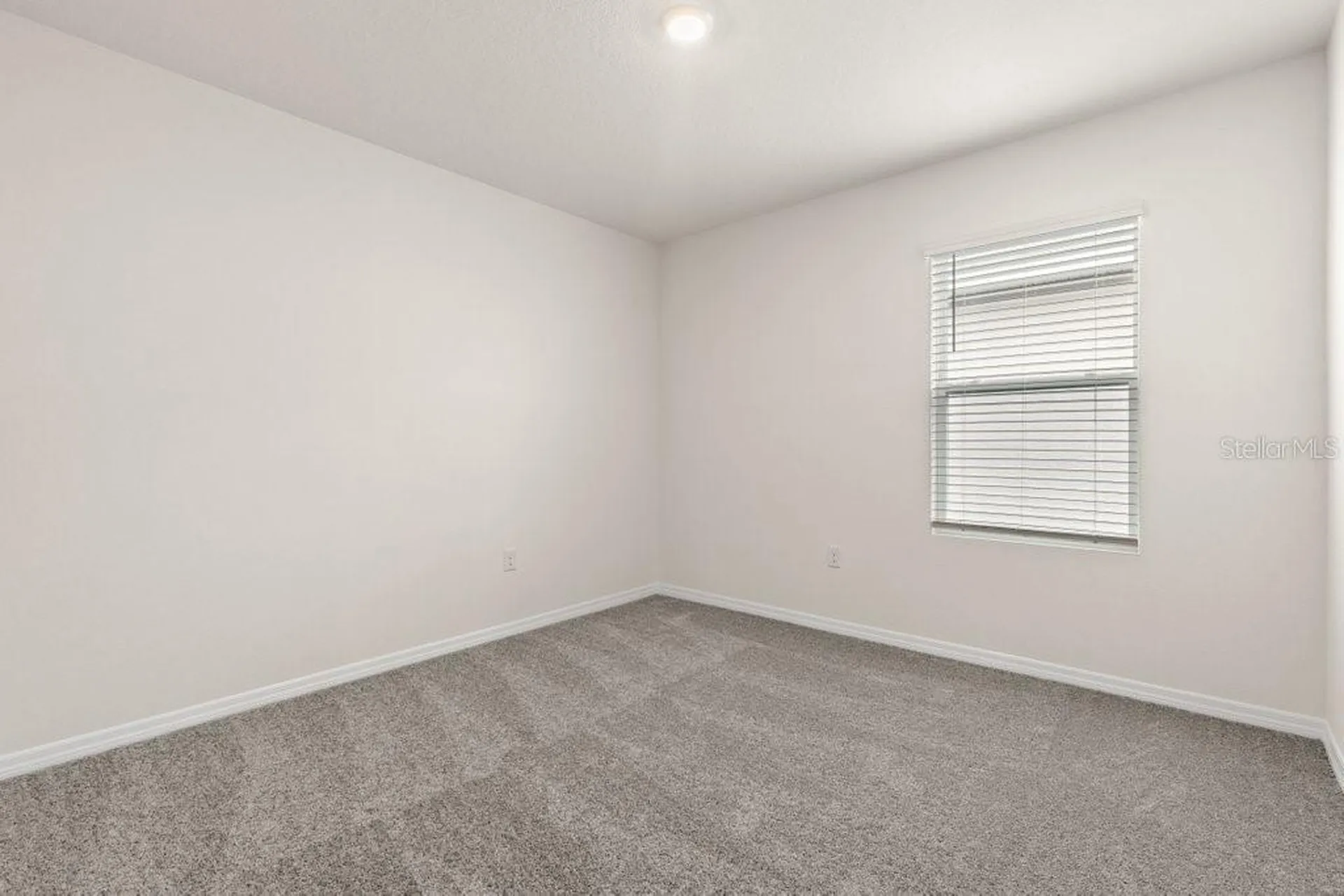 31470 Penny Surf Loop Wesley Chapel FL 33545