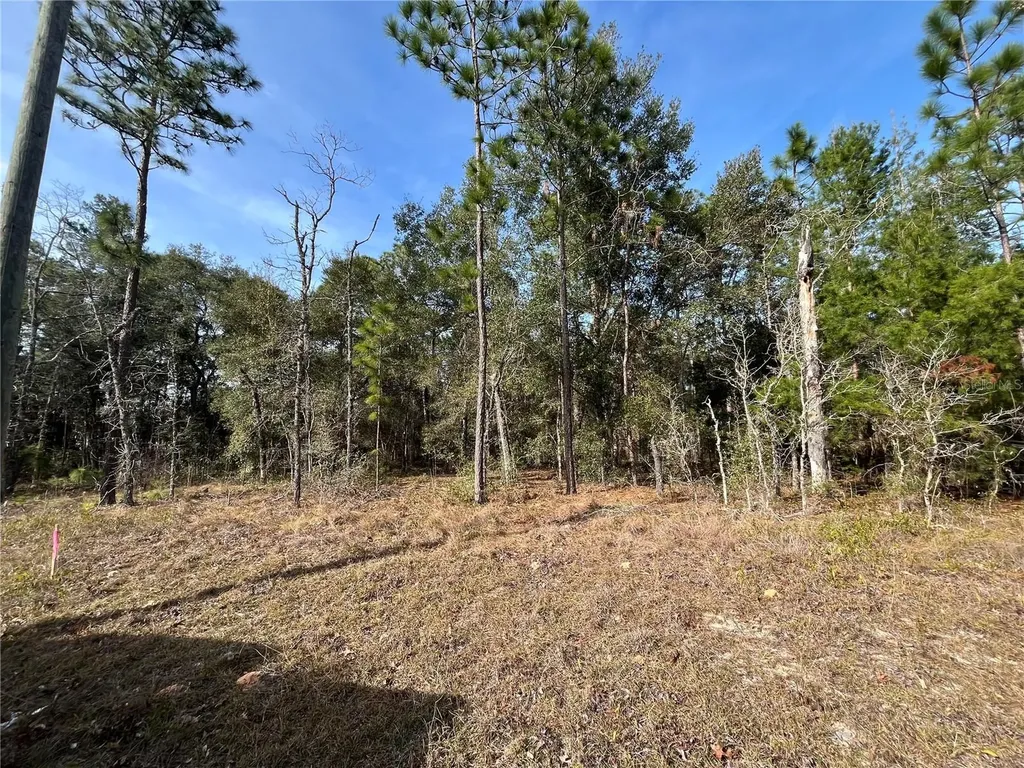6168 Emory Avenue Keystone Heights FL 32656