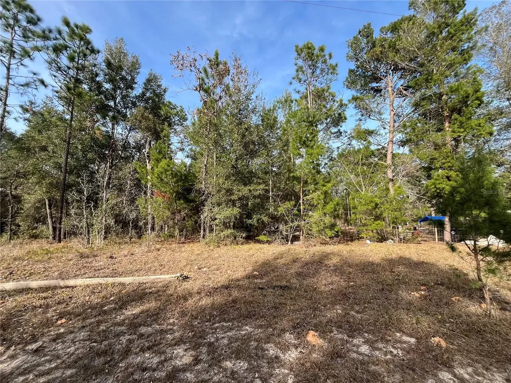 6168 Emory Avenue Keystone Heights FL 32656