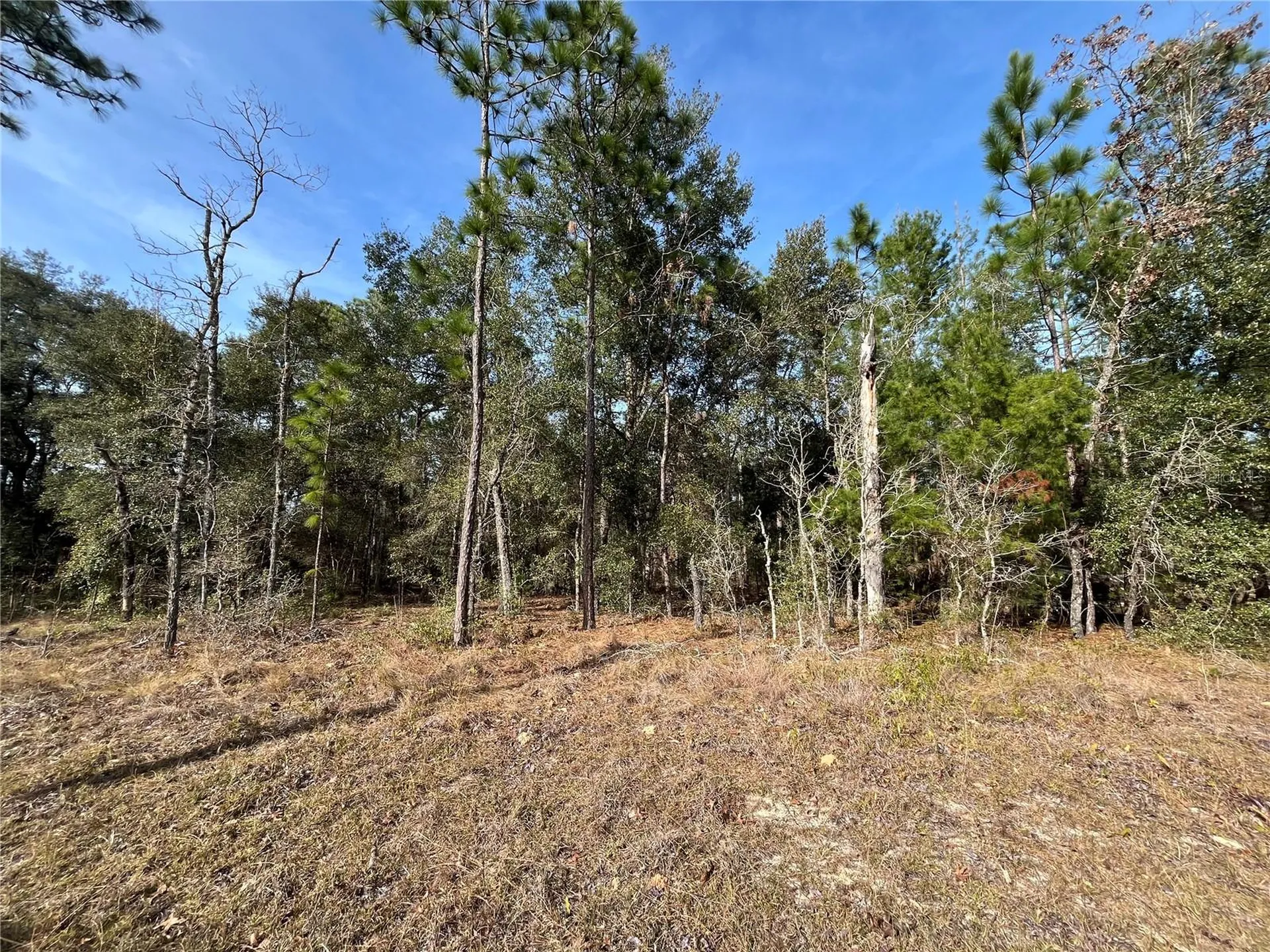 6168 Emory Avenue Keystone Heights FL 32656