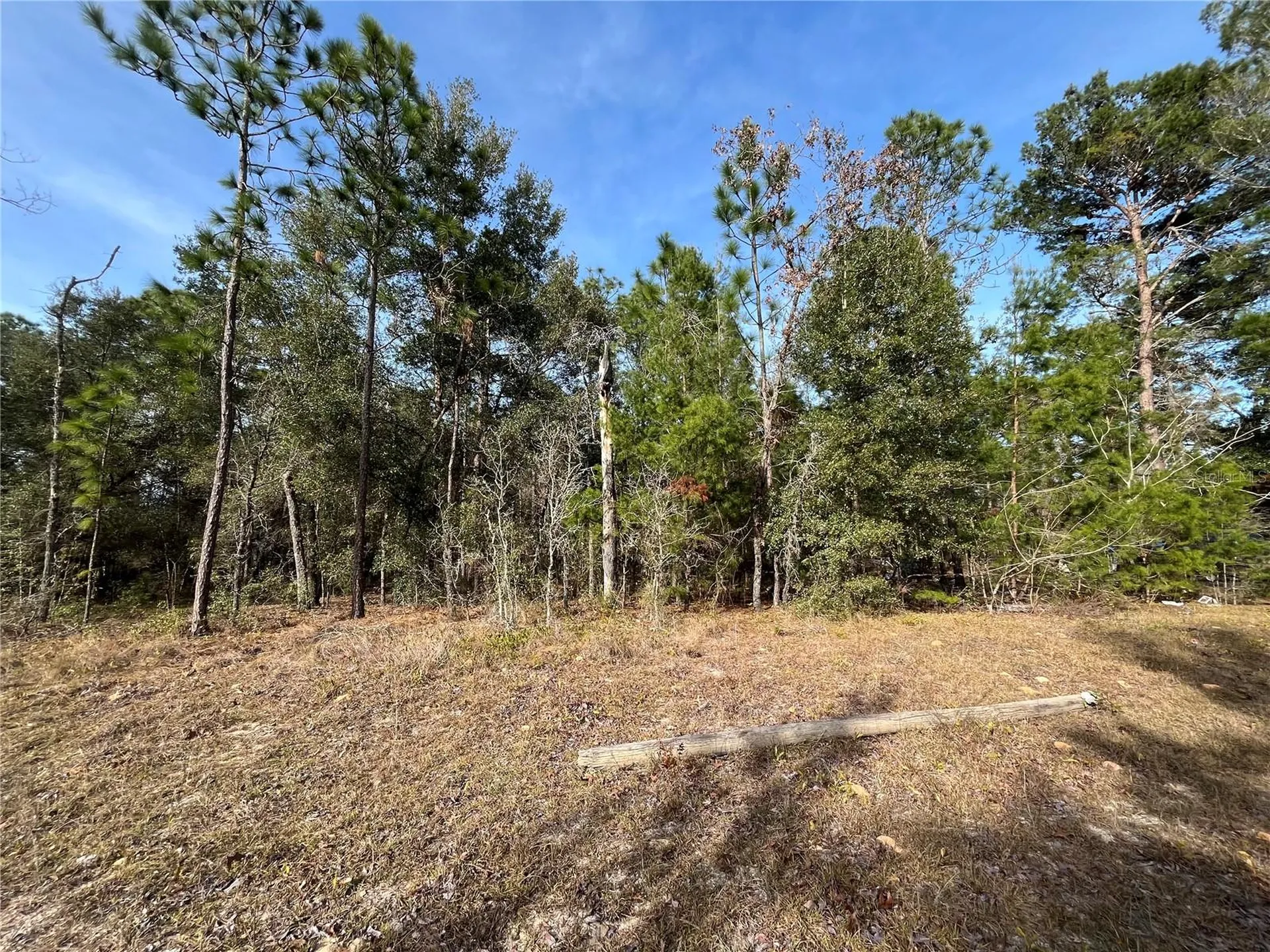 6168 Emory Avenue Keystone Heights FL 32656