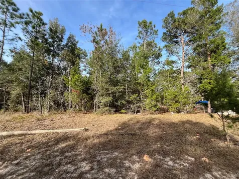 6168 Emory Avenue Keystone Heights FL 32656
