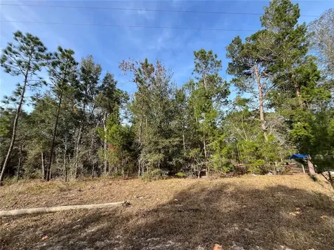 6168 Emory Avenue Keystone Heights FL 32656