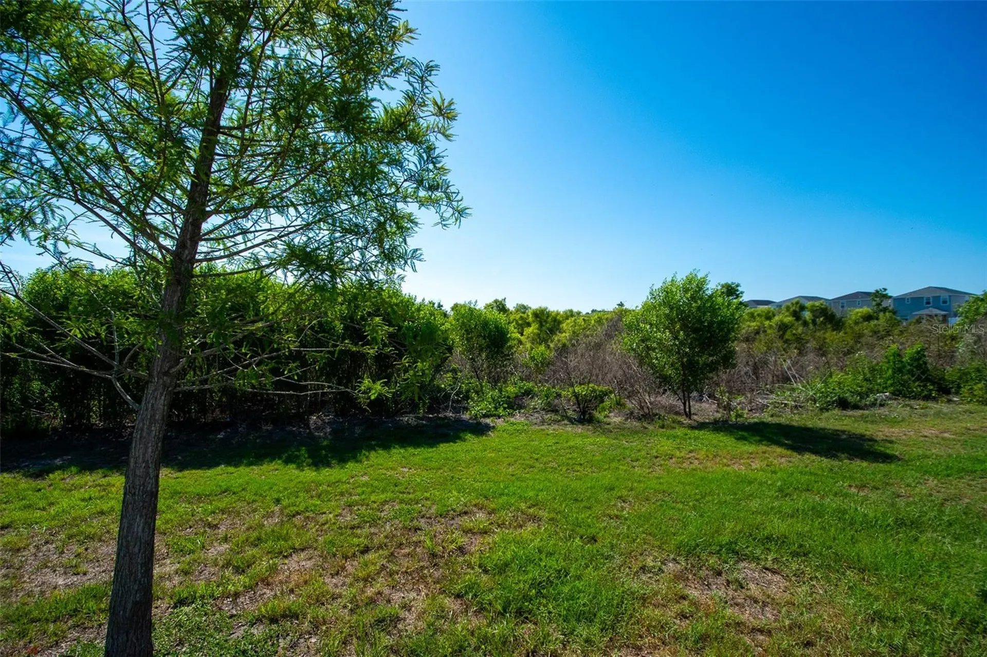 12239 Cypress Branch Street Riverview FL 33579