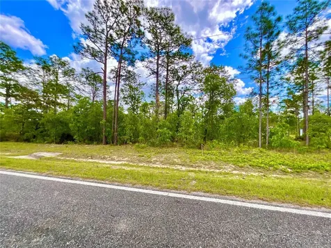 Melrose Landing Boulevard Hawthorne FL 32640