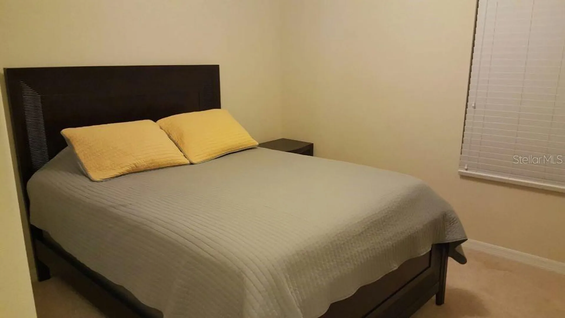 5417 New Independence Parkway Winter Garden FL 34787