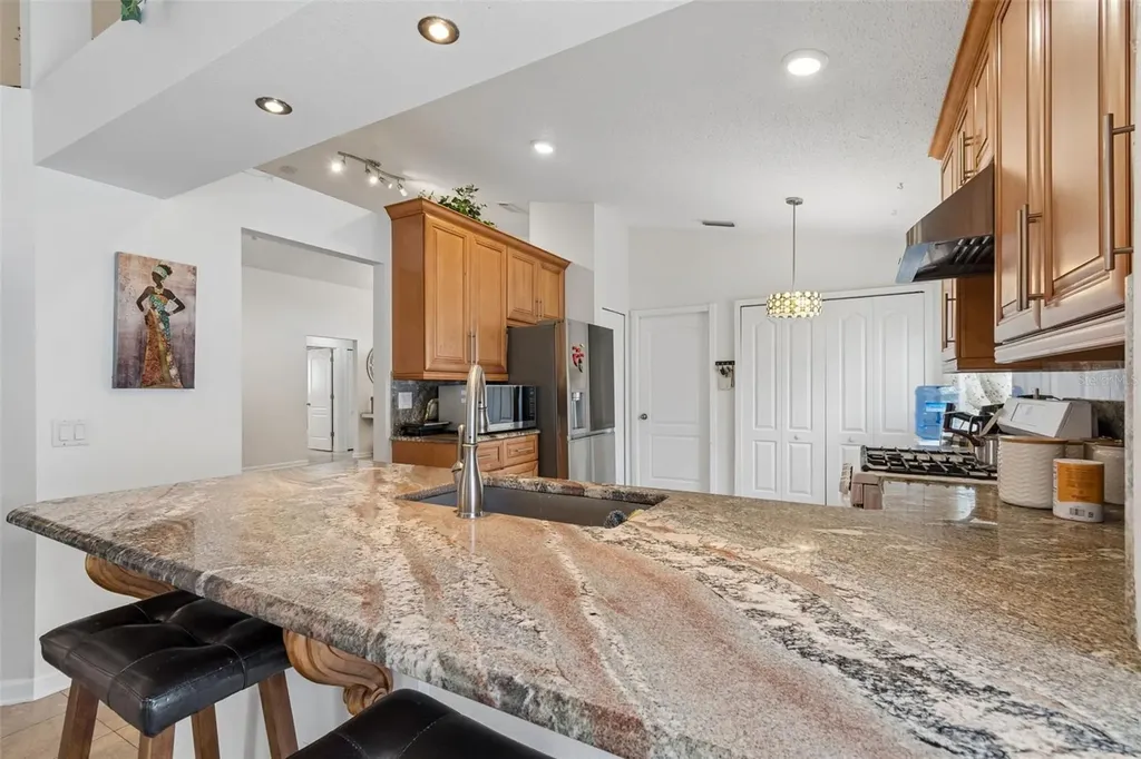 1223 Timber Trace Drive Wesley Chapel FL 33543