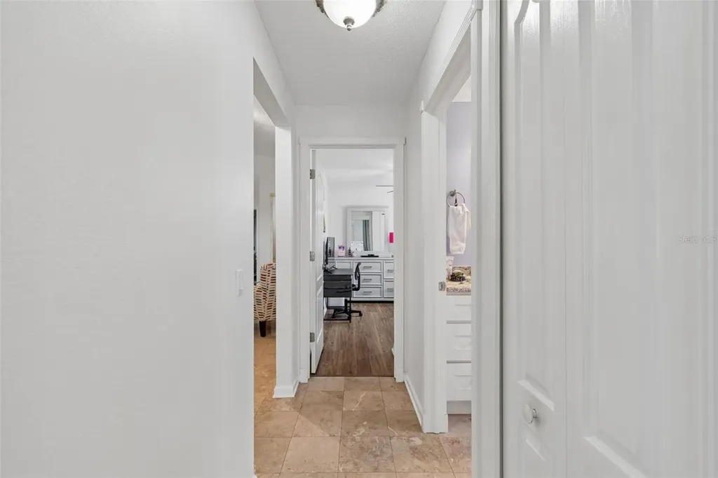 1223 Timber Trace Drive Wesley Chapel FL 33543