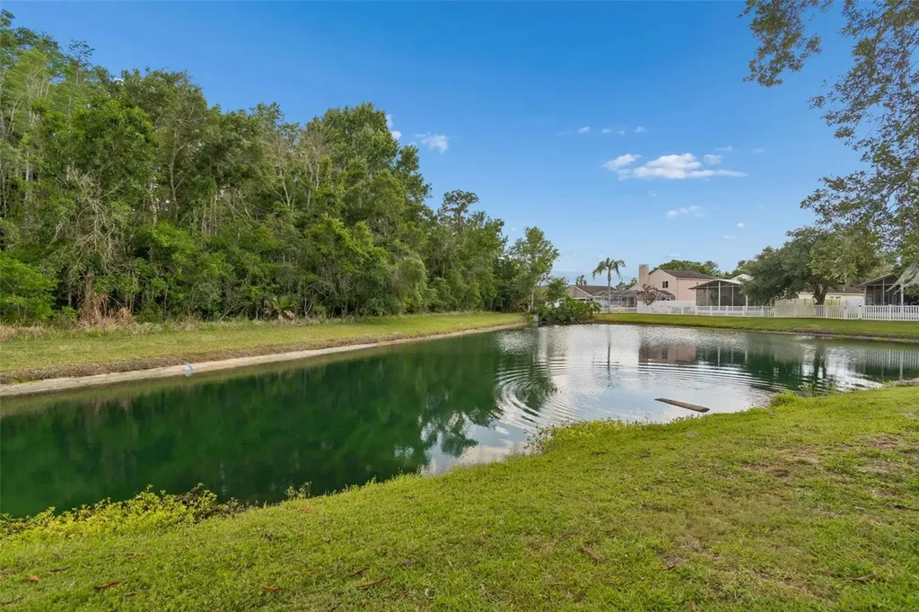 1223 Timber Trace Drive Wesley Chapel FL 33543