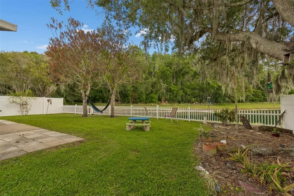 1223 Timber Trace Drive Wesley Chapel FL 33543