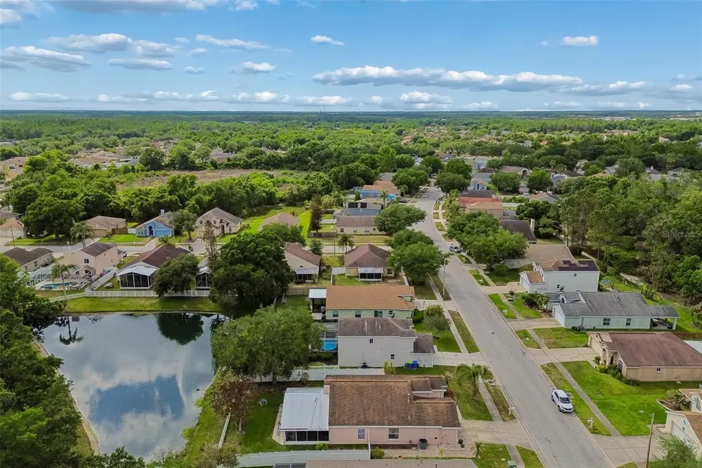 1223 Timber Trace Drive Wesley Chapel FL 33543