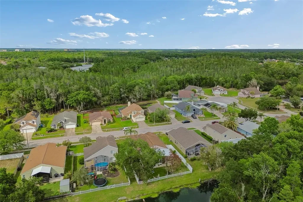 1223 Timber Trace Drive Wesley Chapel FL 33543