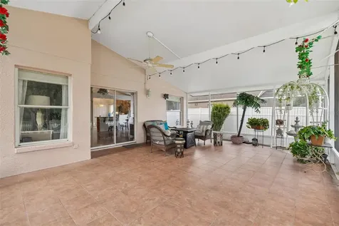 1223 Timber Trace Drive Wesley Chapel FL 33543