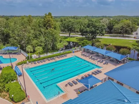 1223 Timber Trace Drive Wesley Chapel FL 33543