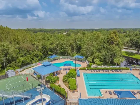 1223 Timber Trace Drive Wesley Chapel FL 33543