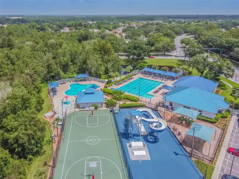 1223 Timber Trace Drive Wesley Chapel FL 33543