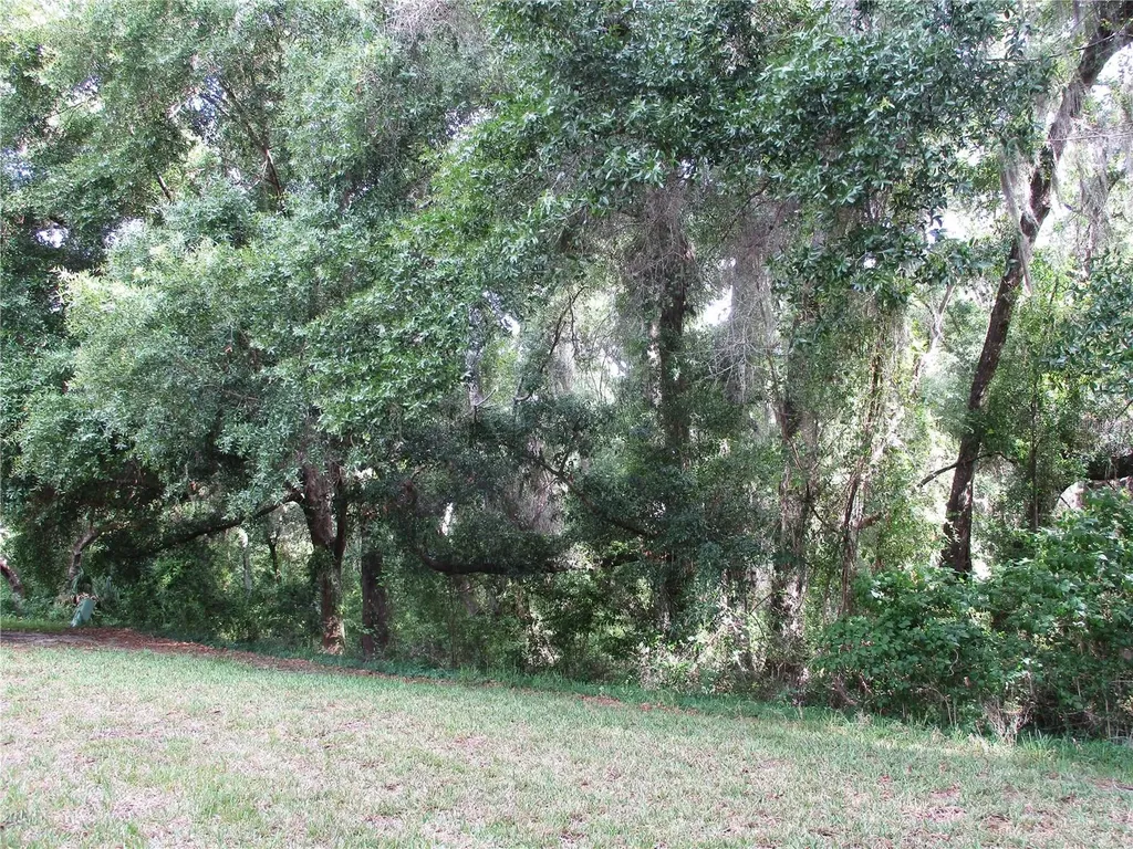 15024 SW 112th Circle Dunnellon FL 34432