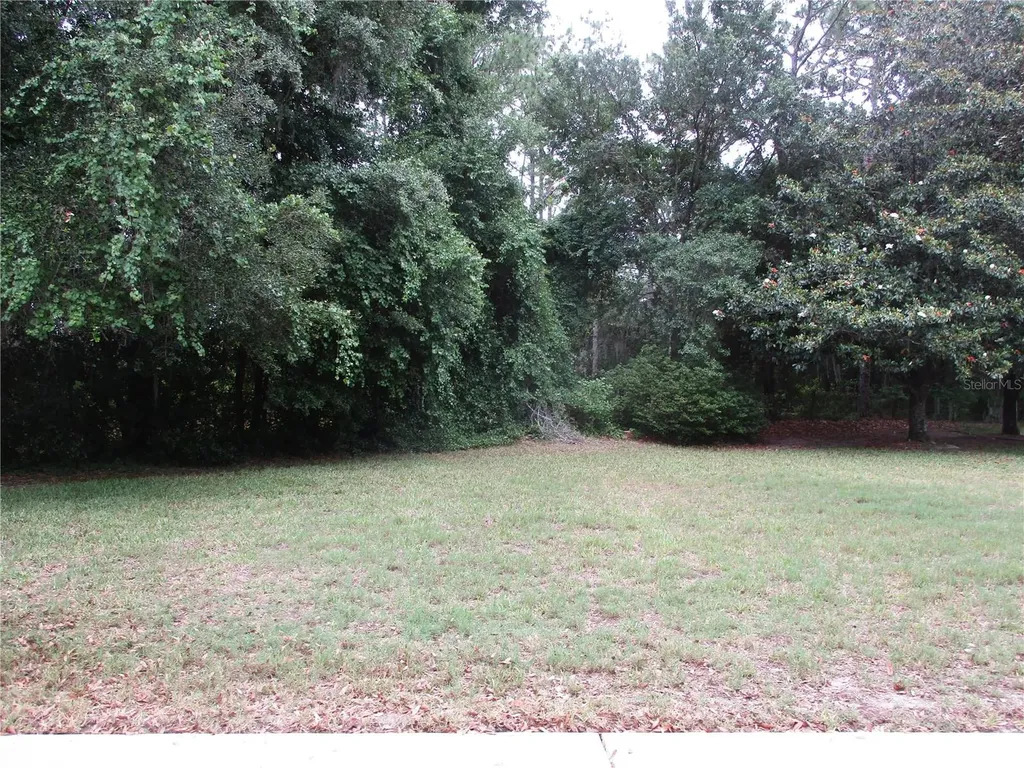 15024 SW 112th Circle Dunnellon FL 34432