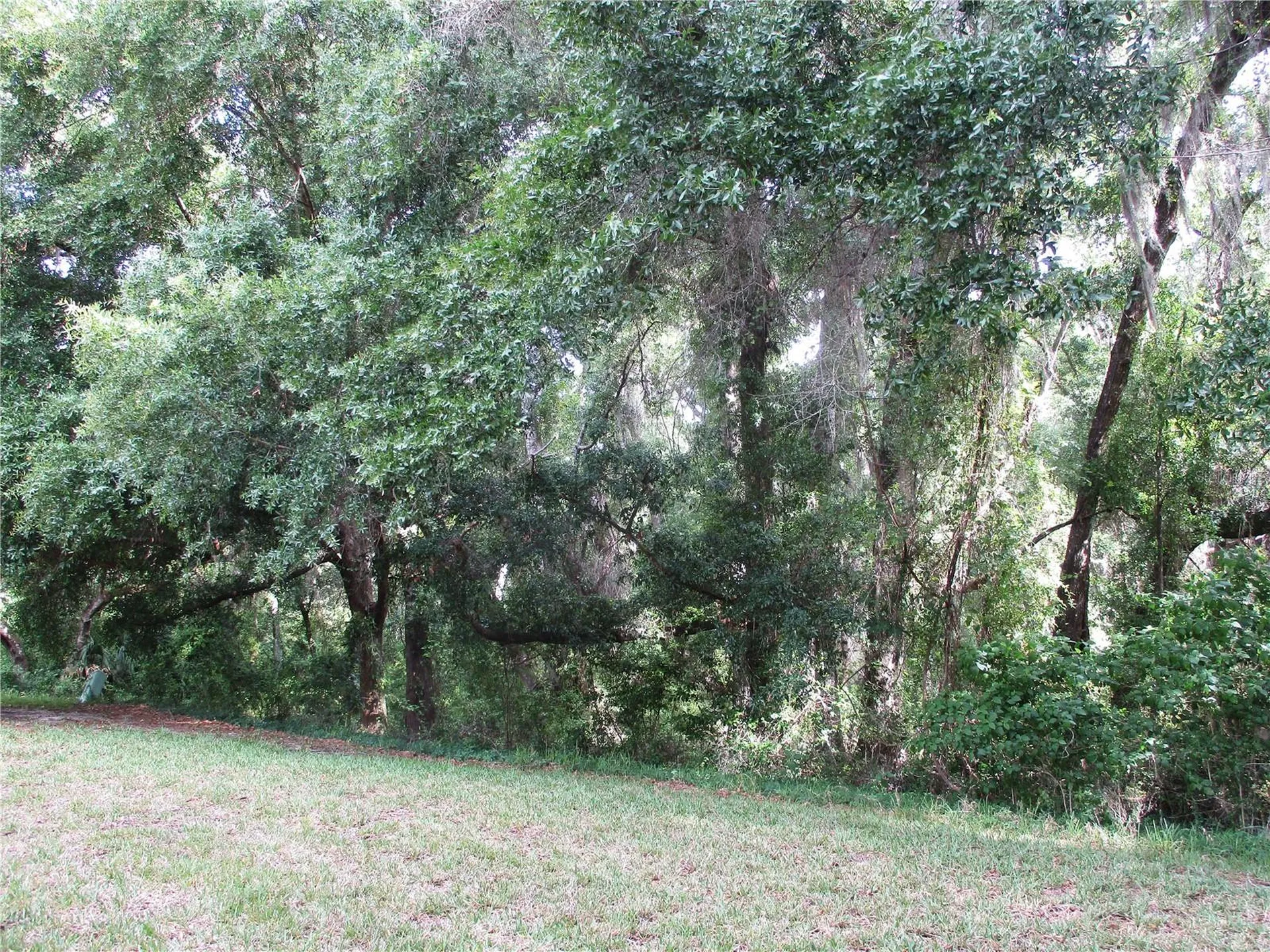 15024 SW 112th Circle Dunnellon FL 34432