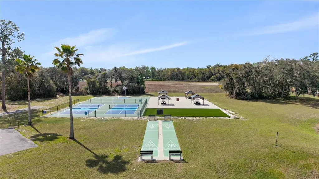 17203 Sandalwood Drive Wildwood FL 34785