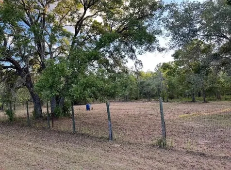 12055 Finch Road Weeki Wachee FL 34614