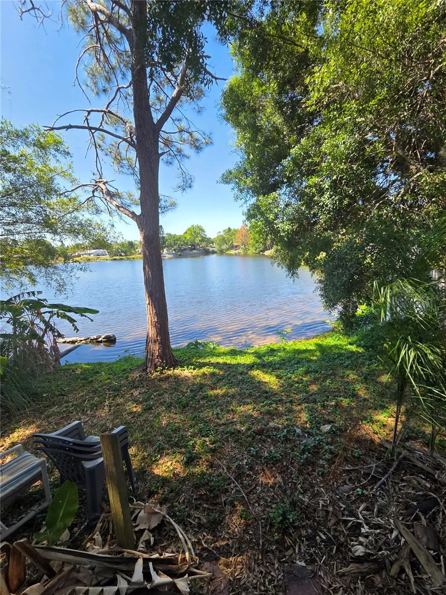 602 Bay Lake Trail Oldsmar FL 34677