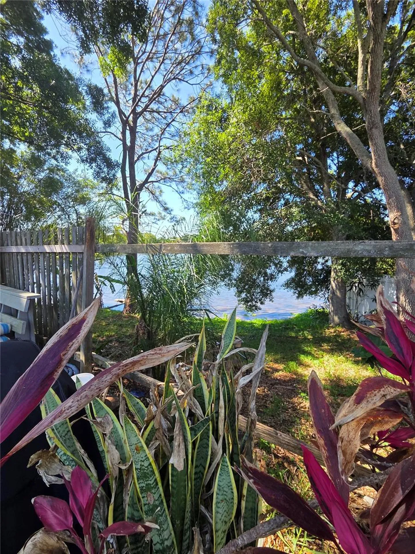 602 Bay Lake Trail Oldsmar FL 34677