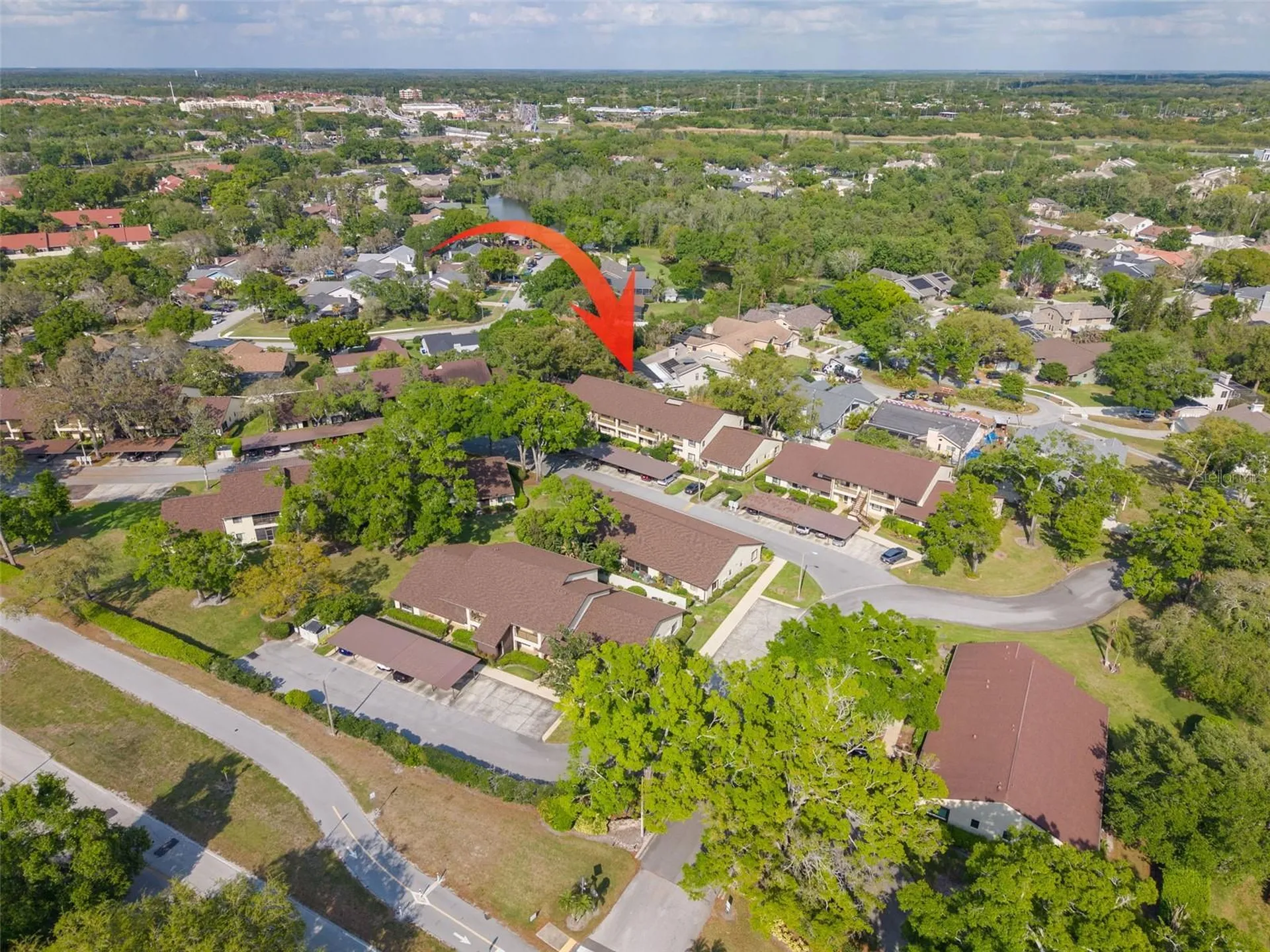 3590 Magnolia Ridge Circle Palm Harbor FL 34684