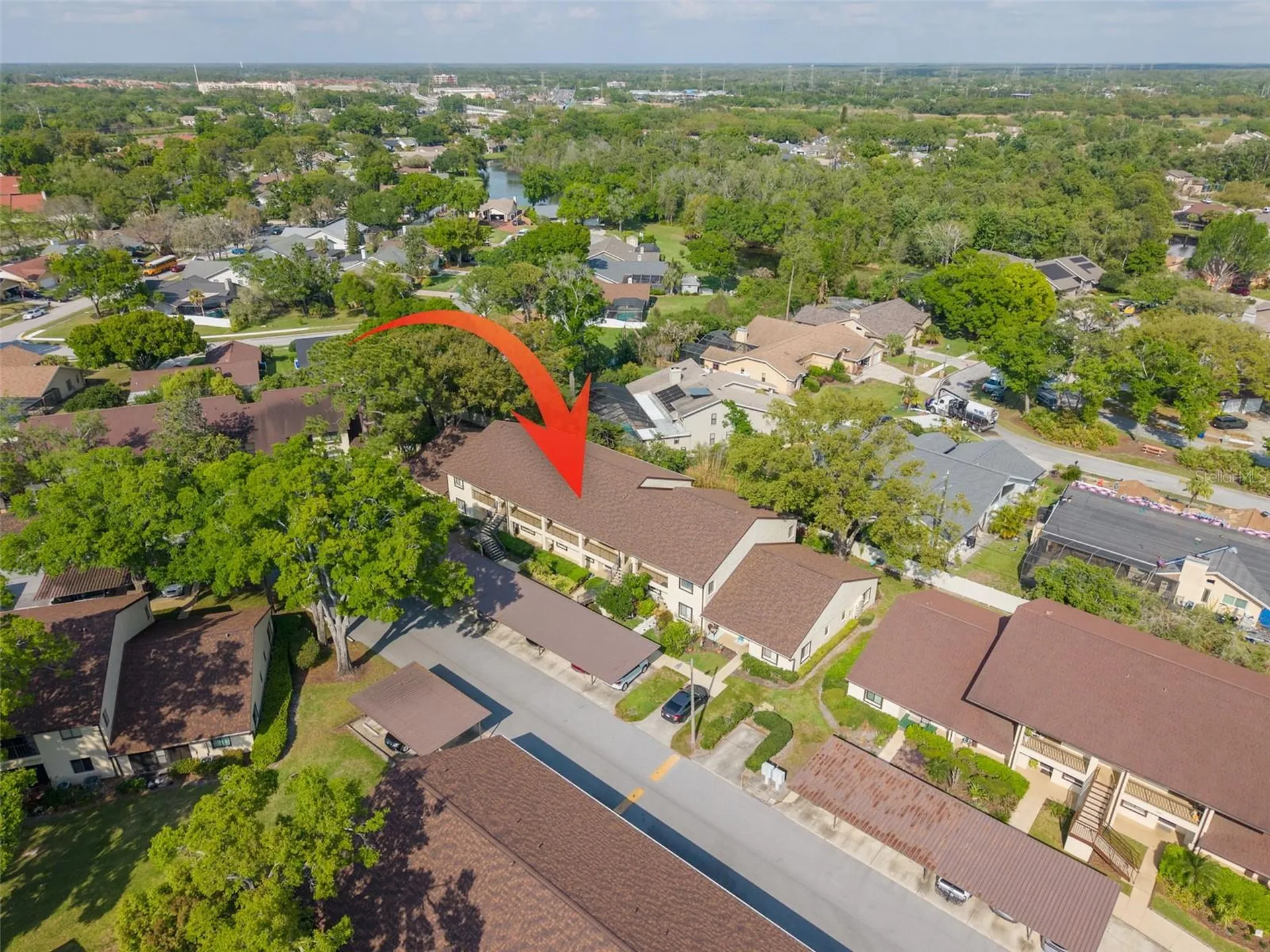 3590 Magnolia Ridge Circle Palm Harbor FL 34684