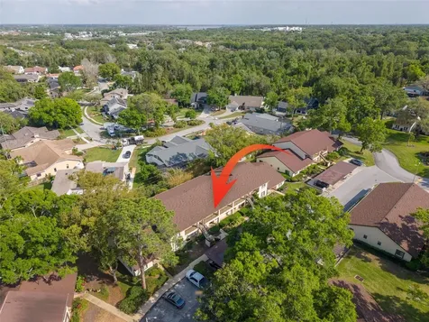 3590 Magnolia Ridge Circle Palm Harbor FL 34684