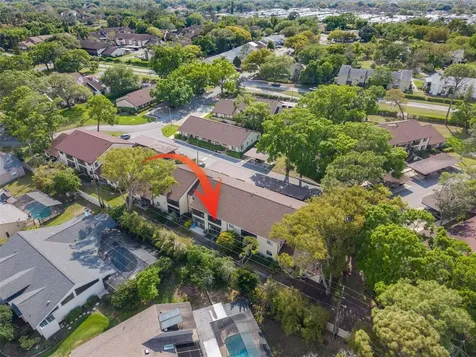 3590 Magnolia Ridge Circle Palm Harbor FL 34684