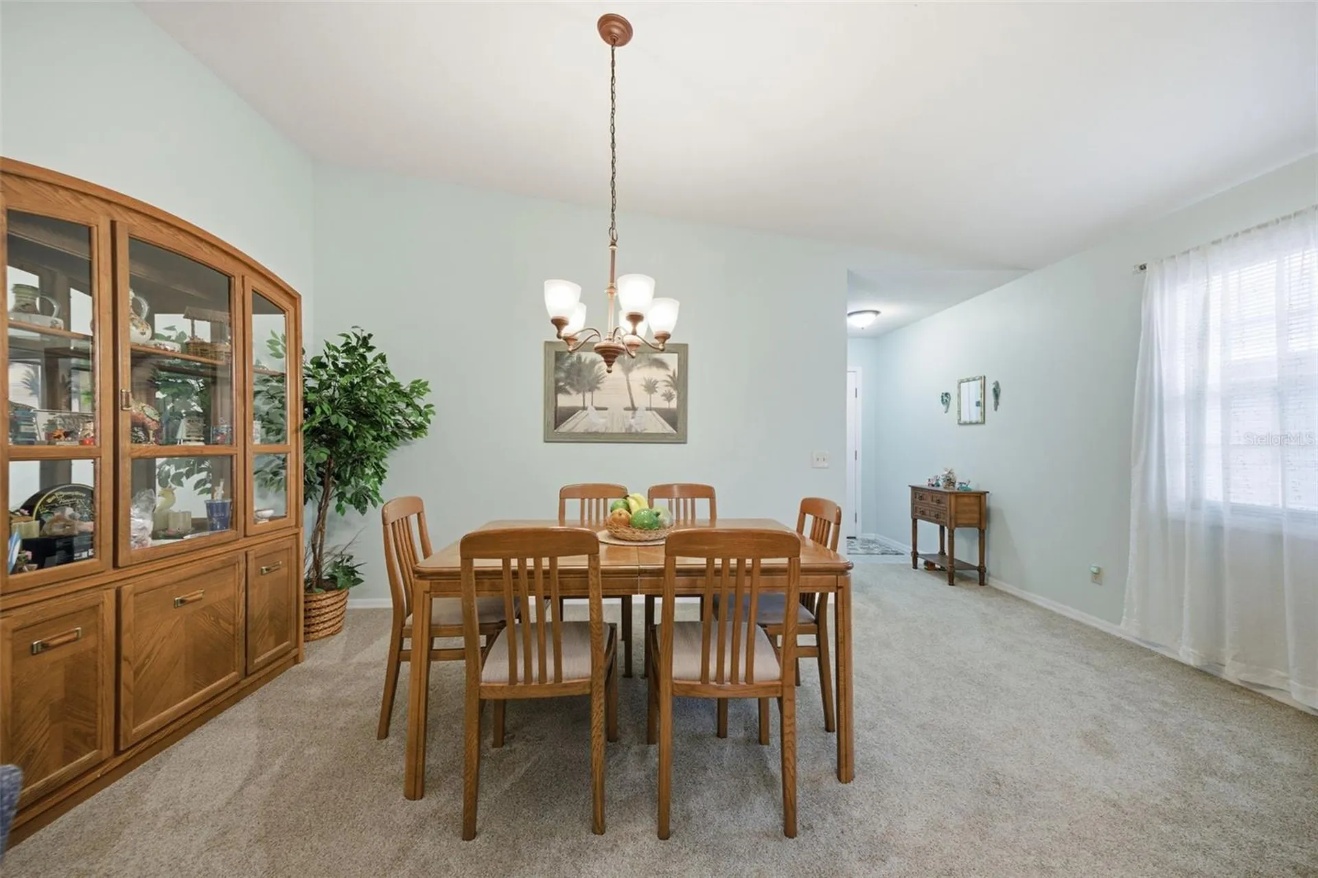 37407 Teaberry Loop Zephyrhills FL 33542