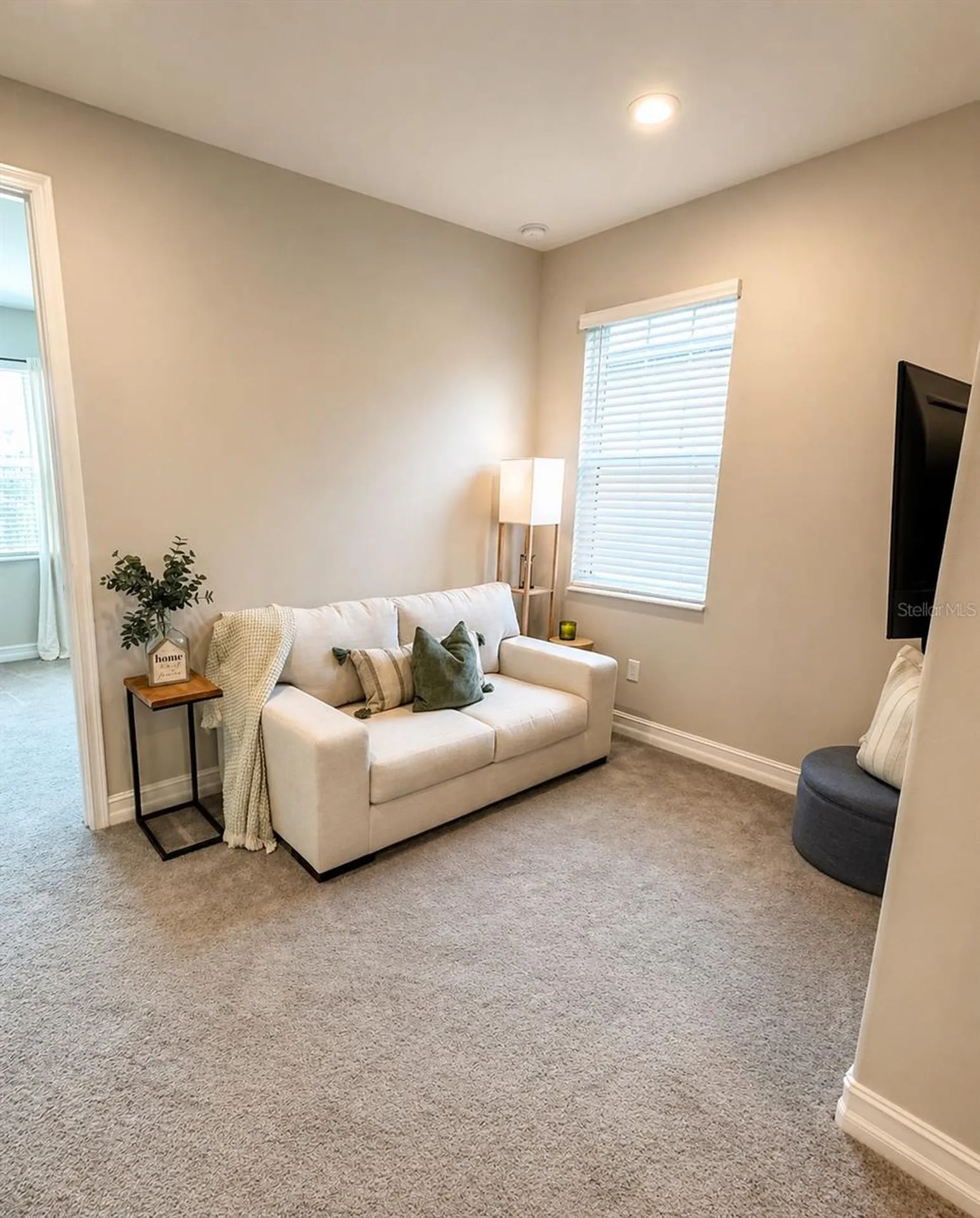 5054 San Martino Drive Wesley Chapel FL 33543