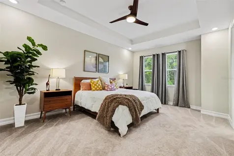 5054 San Martino Drive Wesley Chapel FL 33543