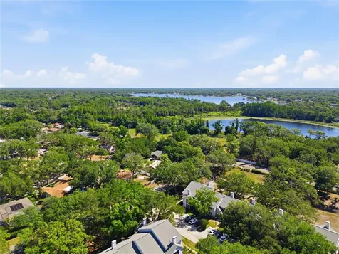 3227 Valley Oaks Drive Tampa FL 33618