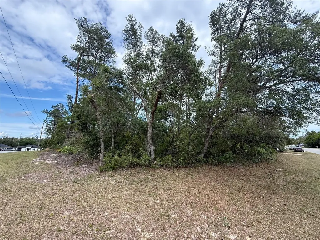 0 SW 33rd Court Road Ocala FL 34473